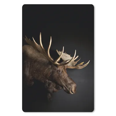 Produktbild von MuchoWow® Mauspad Mousepad Elch - Geweih - Porträt 40x60 cm - Mousepads - Maus Mat - Pad - Mausunterlage - Schreibtisch Accesoire