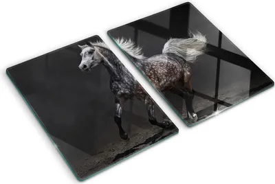 Produktbild von Tulup Glas Herdabdeckplatte - 2x40x52 cm - Glaskeramikkochfeld-Abdeckung Spritzschutz Glasabdeckplatte Kochplattenabdeckung und Schneidebrett - Zweiteilig - Tiere - Arabisches Pferd - Schwarz