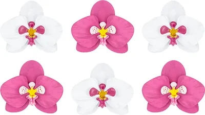 Produktbild von 6 DIY Orchideen aus Papier, pink - weiß