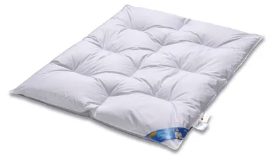 Produktbild von ARO Artländer Daunenbett Junior Exklusiv 100x135 cm und Daunendecke 80x80 cm
