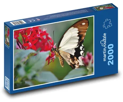 Produktbild von Puzzle 2000 Tropischer Schmetterling an Blumen - martinpuzzle