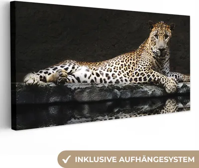 Produktbild von MuchoWow® - Leinwandbilder - Leopard - Wasser - Wald, Wandbild, Wanddeko Bilder Wohnzimmer, 40x20 cm