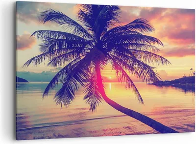 Produktbild von Bild auf Leinwand - Leinwandbild - Meer Strand Palme - 120x80cm - Wand Bild - Wanddeko - Wandbilder - Leinwanddruck - Bilder - Kunstdruck - Wanddekoration - Leinwand bilder - Wandkunst - AA120x80-3925