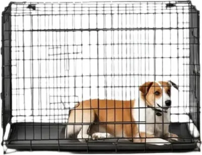 Image de Cage de transport pliable pour chien, avec 2 portes – cage de transport portable – 92,5 x 57,5 x 64 cm