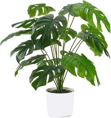 Produktbild von Kunstpflanze Monstera 55 cm, 12 Blätter, für Wohnzimmer, Büro, Tischdekoration