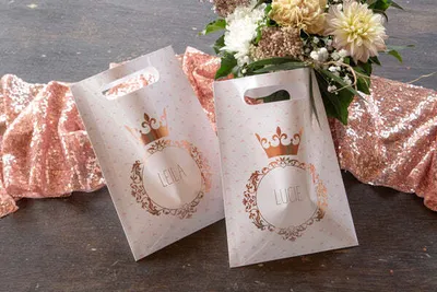 Produktbild von 10 Princesse Geschenktüten 16,5 x 23cm