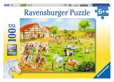 Obrázok produktu pre Farma s poníkmi