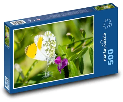 Obrázek produktu pro Puzzle 500 Motýl Na Květině - martinpuzzle