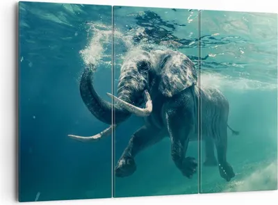 Produktbild von Bild auf Leinwand - Leinwandbild - Elefant Tier Wasser - 165x110cm - Wand Bild - Wanddeko - Leinwanddruck - Bilder - Kunstdruck - Wanddekoration - Leinwand bilder - Wandkunst - CE165x110-3944