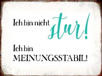 Produktbild von vianmo Holzschild 30x40 cm bin nicht stur meinungsstabil