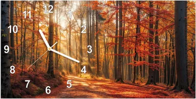 Produktbild von Wanduhr aus Glas mit Motiv Herbstlicher Waldweg- 60 x 30 cm - inkl. Aufhängesystem