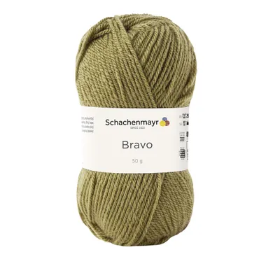 Image de Schachenmayr Bravo, fil à tricoter à la main, 50 g, couleur avocat