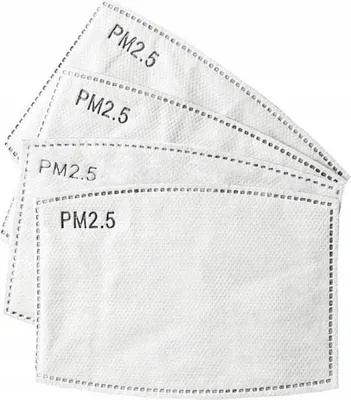 Obrázok produktu pre 10x HEPA filter PM 2,5 COAL pre masky 10 kusov