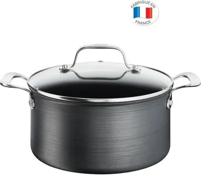 Immagine prodotto di Casseruola in alluminio da 24 cm con coperchio Tefal G2564602