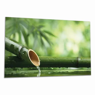 Produktbild von Wallario Herdabdeckplatte aus Glas, Größe 90 x 52 cm 1-teilig, Motiv Bambusquelle  Bambusrohr mit Wasser