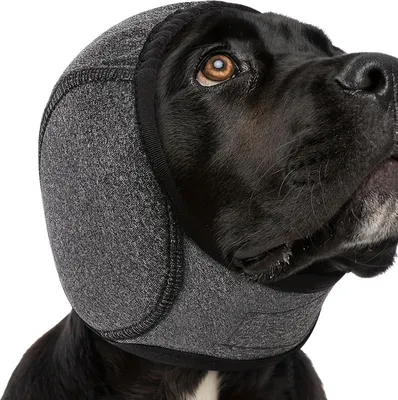 Produktbild von Hundeohrenschutz zum Schutz vor Lärm | Schalldämmende elastische Bandage | Elastischer Gehörschutz für Hunde | Für kleine, mittlere und große Hunderassen und Katzen (45–60 cm)