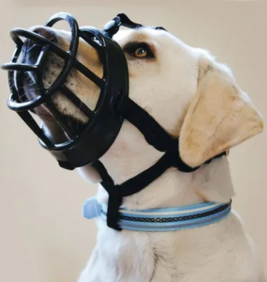 Produktbild von Beeztees Maulkorb - Hund - TPR - schwarz - Größe 6