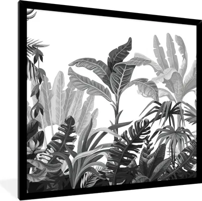 Produktbild von MuchoWow® Gerahmtes Poster Dschungel - Blätter - Pflanzen 40x40 cm - Poster mit Schwarzem Bilderrahmen Wandposter Rahmen Foto Bilder - Mit Rahmen - Wanddekoration Schlafzimmer