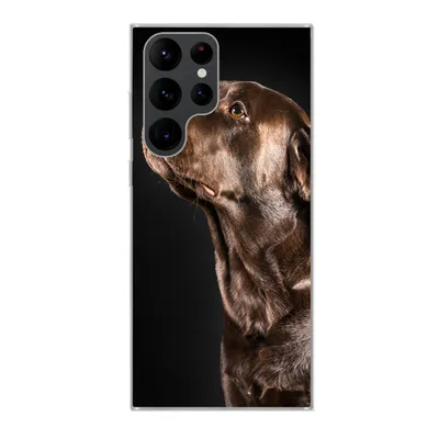 Produktbild von MuchoWow® Handyhülle Schutzhülle Hülle für Samsung Galaxy S22 Ultra Hund - Braun - Porträt Silikon Softcase Handy Hülle - Abbildung