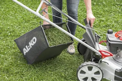 Produktbild von AL-KO Benzin-Rasenmäher Easy 4.20 P-S (42 cm Schnittbreite, 2.0 kW Motorleistung, zentrale Schnitthöhenverstellung, Robustes Stahlblechgehäuse, für Rasenflächen bis 800 m²)