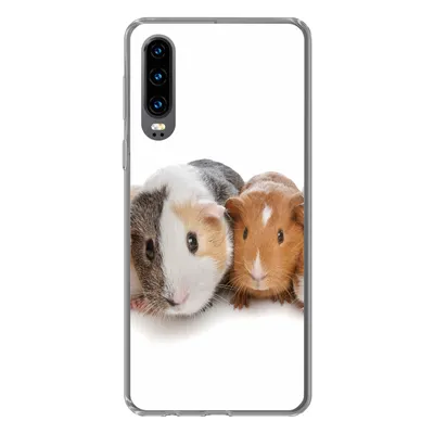 Produktbild von MuchoWow® Handyhülle Schutzhülle Hülle für Huawei P30 Fünf Meerschweinchen Silikon Softcase Handy Hülle - Kartenbesitzer
