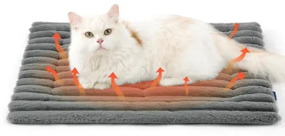 Produktbild von Katzendecke selbstheizend waschbar Grau 61 x 46 cm