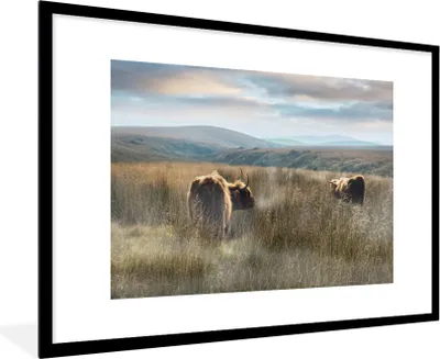 Produktbild von MuchoWow® Gerahmtes Poster Schottische Highlander - Nebel - Gras 90x60 cm - Poster mit Schwarzem Bilderrahmen Wandposter Rahmen Foto Bilder - Wanddekoration - Fotos
