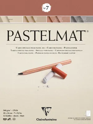 Productafbeelding van Clairefontaine 96052C, 12 vel papier