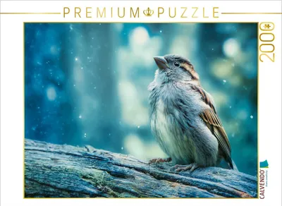 Produktbild von CALVENDO Puzzle Ein Blick auf das Unscheinbare | 2000 Teile Lege-Größe 90x67cm Foto-Puzzle für glückliche Stunden