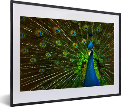 Produktbild von MuchoWow® MuchoWow® Gerahmtes Poster Pfau - Federn - Muster - Blau 40x30 cm - Poster mit zchwarzem Bilderrahmen - Bilderrahmen - Poster im Rahmen