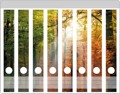 Produktbild von Wallario Ordnerrücken Sticker, selbstklebend für schmale Ordner, 8 Stück, Motiv Sonnenuntergang im Herbstwald