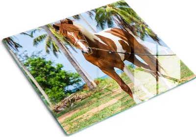 Obrázok produktu pre Sklenená ochranná doska – Kryt varnej dosky – Kryt na indukčnú dosku – 60x52 cm  – Rýchle čistenie – Tvrdené sklo – Pinto kôň
