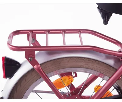 Immagine prodotto di Portapacchi posteriore Alpina 16 Cargo Berry Red Matt