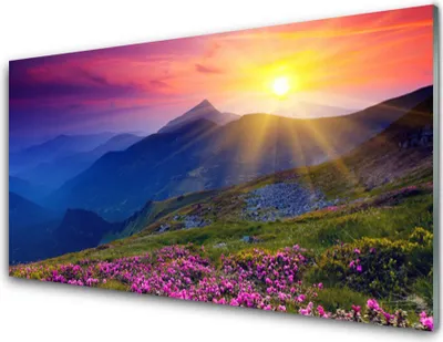 Produktbild von Acrylglasbilder 100x50 Wandbild Druck Gebirge Blumen Wiese Landschaft