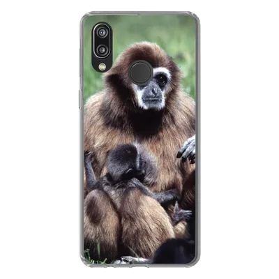 Produktbild von MuchoWow® Handyhülle Schutzhülle Hülle für Huawei P20 Lite (2020) Affe - Pflanzen - Jung Silikon Softcase Handy Hülle - Kartenhalter