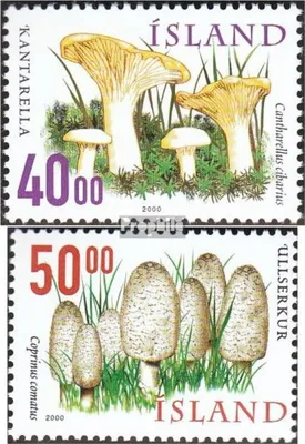 Produktbild von Briefmarken Island 2000 Mi 943-944 (kompl.Ausg.) postfrisch Speisepilze