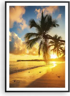 Produktbild von Gerahmtes Poster - Schwarzer Rahmen - Meer Strand Palme - 70x100 cm - Wand Bild - Wanddeko - Wandbilder - Kunstposter - Wandposter - Bilderrahmen - Bilder - Kunstdruck - Wandbild - P2BPA70x100-3922