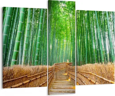 Produktbild von Bild auf Leinwand - Leinwandbild - Bambus Pflanze - 95x80cm - Wand Bild - Wanddeko - Wandbilder - Leinwanddruck - Bilder - Kunstdruck - Wanddekoration - Leinwand bilder - Wandkunst - CB95x80-3979