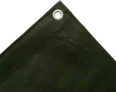 A close-up view of a corner of a dark green tarp, showing a metal grommet.