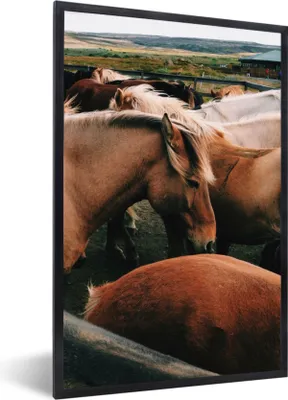 Produktbild von MuchoWow® Gerahmtes Poster Pferde - Tiere - Spiel 40x60 cm - Poster mit Schwarzem Bilderrahmen Wandposter Rahmen Foto Bilder - Papierdruck - Wandbilder