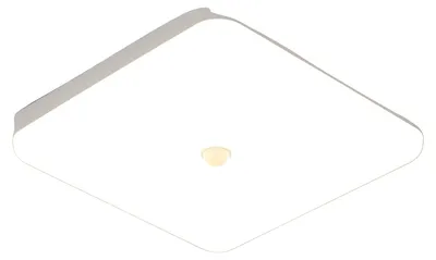 Image de Plafonnier, détecteur de mouvement, étanche, lumière blanche neutre