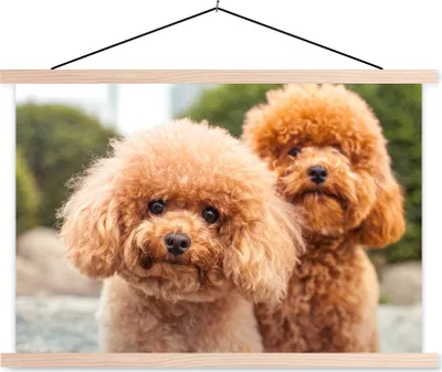 Produktbild von MuchoWow® Textilposter Eine Nahaufnahme der braunen Welpen 120x80 cm mit holzfarbenen Rahmen - Aufhängeset