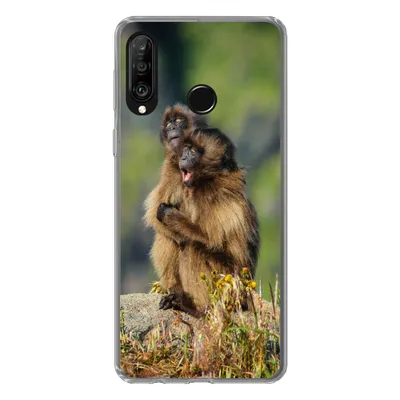 Produktbild von MuchoWow® Handyhülle Schutzhülle Hülle für Huawei P30 Lite Affen - Pflanzen - Steine - Familie Silikon Softcase Handy Hülle - Handyhülle