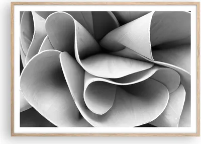 Produktbild von Gerahmtes Poster - Rahmen in heller Eiche - Material Ornament Stück - 100x70 cm - Wand Bild - Wanddeko - Wandbilder - Kunstposter - Wandposter - Bilderrahmen - Bilder - Kunstdruck - P2NAA100x70-4993