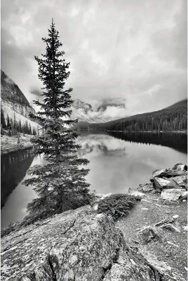 Produktbild von BREUER Duschrückwand Foto Bergsee 255 x 150 cm 9480565000204