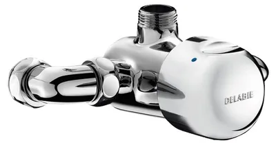 Image de Mitigeur de douche temporisé apparent TEMPOMIX monocommande - DELABIE - 790874