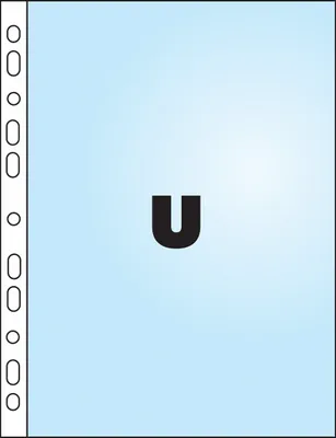 Obrázok produktu pre Esselte 56061, 210 x 297 mm (A4), Priehľadná, Polypropylén (PP), Vršok, 230 mm, 302 mm