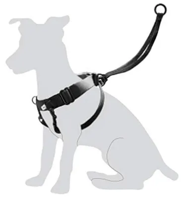 Produktbild von Karlie Easy Walker - Hundegeschirre - M - Nylon - Schwarz - Durchm.31-39 cm