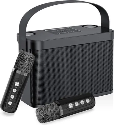 Obrázek produktu pro Karaoke sada se 2 bezdrátovými mikrofony