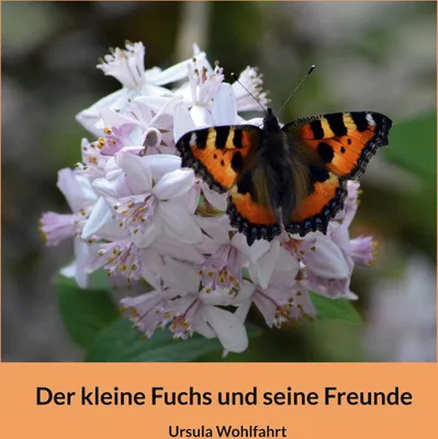 Produktbild von Der kleine Fuchs und seine Freunde